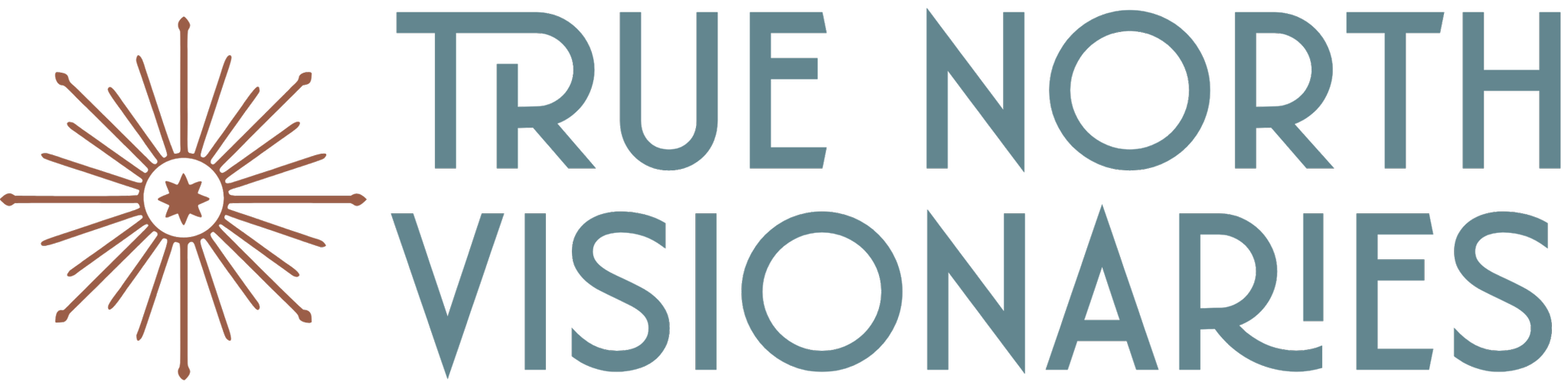 True North Visionaries